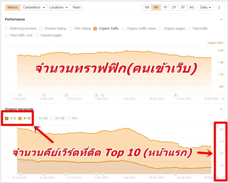 Detailed traffic analysis showing consistent organic growth and strong search visibility